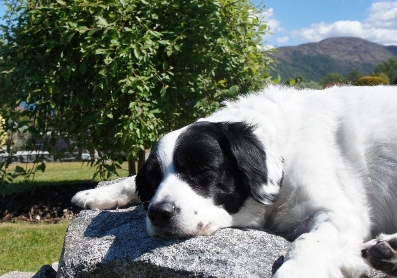 The Allanbreck Studio Glencoe Ballachulish Highlands Near Fortwilliam Εξωτερικό φωτογραφία